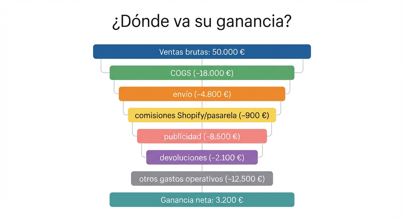 Infografía de cascada vertical sobre fondo blanco, con título
